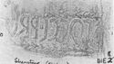 Thumbnail of Rubbing of LOCCIVS PROB(us) die 2 from Shenstone
