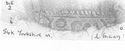Thumbnail of LOSSA Die2 Yorkshire Museum 54K