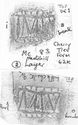 Thumbnail of Group of rubbings of MAIV[S die 1