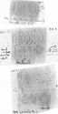 Thumbnail of Group of rubbings of MASCELLIO 1 die 1