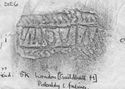 Thumbnail of Rubbing of MATVGENVS 1 die 6 from London, Guildhall Museum 5K