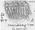 Thumbnail of Rubbing of MAVRIVS die 1 from Corbridge 321K