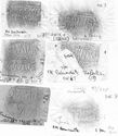 Thumbnail of Group of rubbings of MAVRIVS die 7