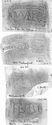 Thumbnail of Group of rubbings of MELVS 1 die 5