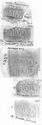 Thumbnail of Group of rubbings of MINOMELVS die 2