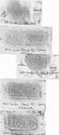 Thumbnail of Group of rubbings of MORICAMVLVS   die 1