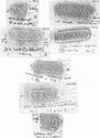 Thumbnail of Group of rubbings of MORICAMVLVS   die 3
