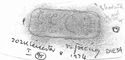 Thumbnail of Rubbing of MORICAMVLVS   die 3A from Leicester 202K