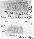 Thumbnail of Group of rubbings of MORICAMVLVS   die 4
