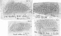 Thumbnail of Group of rubbings of Q. RVTILIVS RIPANVS die 3