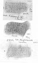 Thumbnail of Q.VALERIVS VERANIVS Die 3 Group