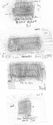 Thumbnail of Q.VALERIVS VERANIVS Die 7 Group