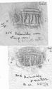 Thumbnail of Group of rubbings of RBIVS die 2