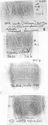 Thumbnail of Group of rubbings of SARRIVS die 6