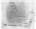 Thumbnail of Rubbing of TMH die 1A from Verulamium 176K