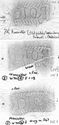 Thumbnail of Group of rubbings of VICTOR  die 1