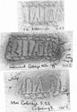 Thumbnail of Group of rubbings of VITALIS 1 die 2