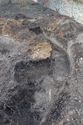 Thumbnail of Beetle loggery trench, looking west