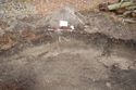 Thumbnail of Beetle loggery trench, looking north. 1m scale bar