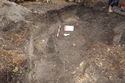 Thumbnail of Beetle loggery trench, looking east. 1m scale bar