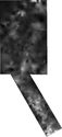 Thumbnail of LVMP Thickness of Holocene deposits m