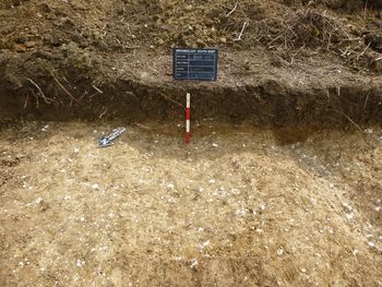 Image from Digital Archive from an Archaeological Evaluation South of Chapelwent Road, Haverhill, Suffolk 2019