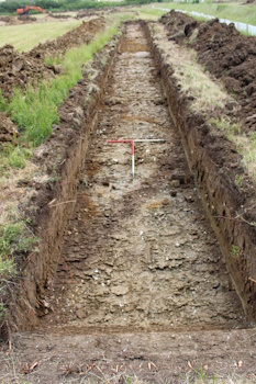 Image from Images and GIS Data from an Archaeological Evaluation West of Broad Road, Bacton, Suffolk, March-June 2022