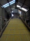 Thumbnail of HPIM5251