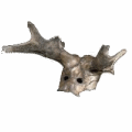 Mesolithic icon