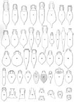 Dressel's Synoptic Table