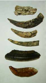 artefacts