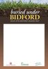 Click to download BUD_Poster as a PDF file [new window]