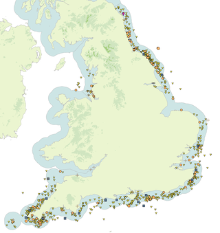 Distribution map of surviving vessels