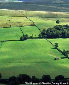 Post Medieval Field Systems of the Peak Fringe