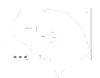 Thumbnail of Fig 04