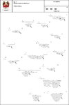 Thumbnail of Fig 11