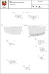 Thumbnail of Fig 18