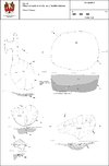 Thumbnail of Fig 19