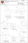 Thumbnail of Fig 38