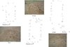 Thumbnail of Fig 41