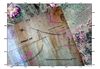 Thumbnail of baylas1