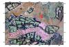 Thumbnail of catherton