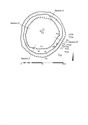 Thumbnail of Figure 12.png