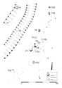 Thumbnail of Figure 14.png
