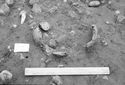 Thumbnail of Figure 15.png