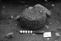 Thumbnail of Figure 16.png