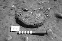 Thumbnail of Figure 17.png