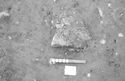 Thumbnail of Figure 20.png