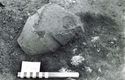 Thumbnail of Figure 31.png