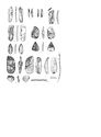 Thumbnail of Figure 70.png